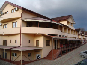 Гостиница Hotel Martisorul  Качича